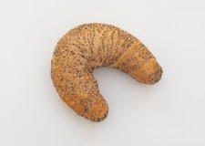 HORN